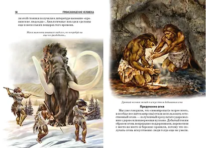 Происхождение человека - фото 3