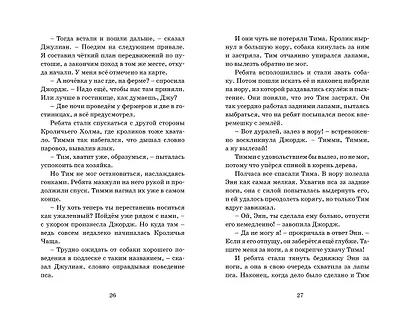 Подарок для королевы. Книга 10 - фото 8