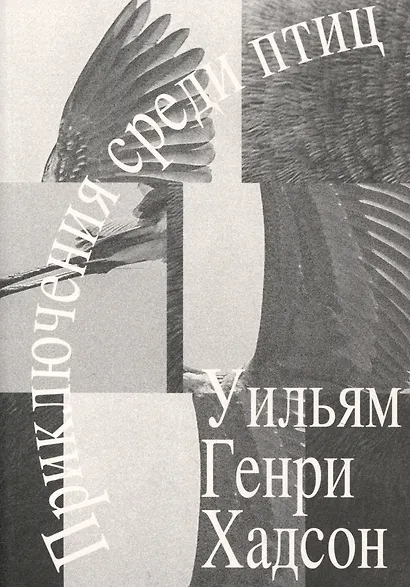Приключения среди птиц - фото 1