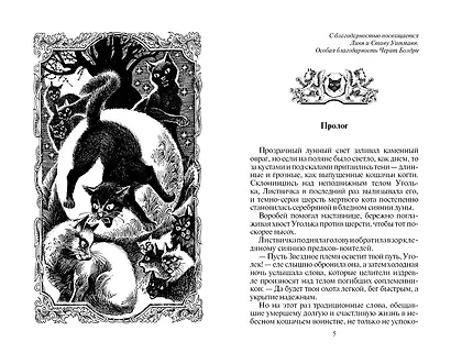 Восход солнца - фото 2