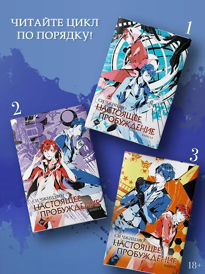Настоящее пробуждение. Real Awakening. Книга 1 - фото 6