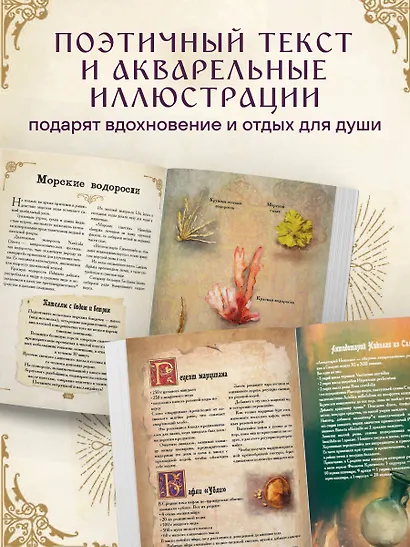 Травология Средневековья. Чудодейственные растения, древние рецепты и непостижимые тайны трав - фото 7