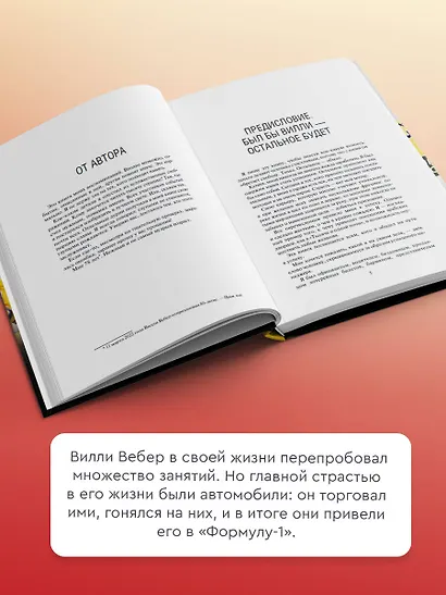 Моя кровь — бензин. Автобиография менеджера Шумахера - фото 5