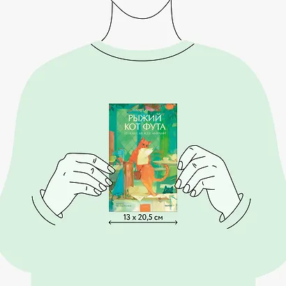 Рыжий кот Фута из кафе между мирами - фото 8