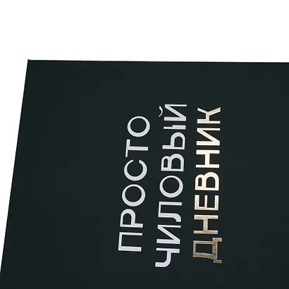 Дневник шк. "Чиловый дневник" 7БЦ, ламинация "soft touch", тиснение фольгой «Золото» - фото 6