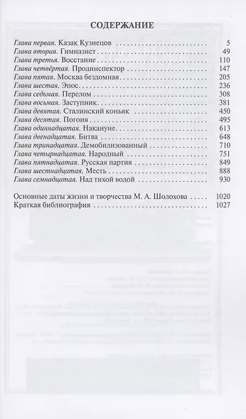 Шолохов. Незаконный - фото 2