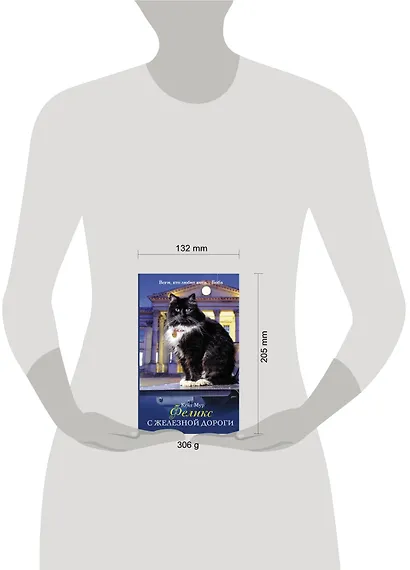 Феликс с железной дороги : роман - фото 3