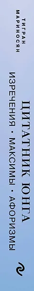 Цитатник Юнга. Изречения, максимы, афоризмы - фото 12