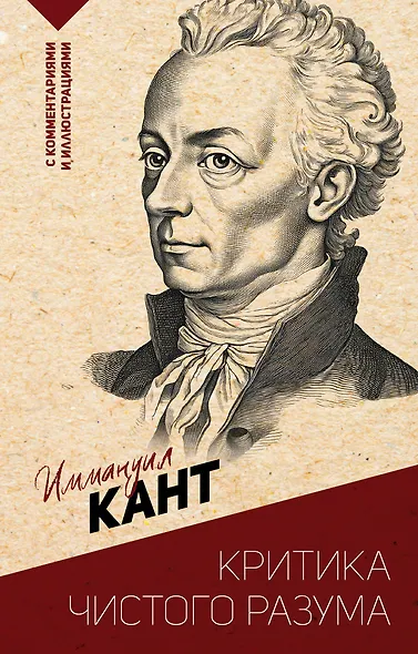 Критика чистого разума. С комментариями и иллюстрациями - фото 1