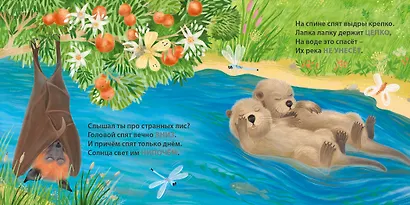 Загадки-рифмы. Кто как спит - фото 5