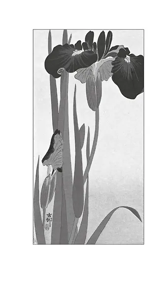 Час откровения - фото 13