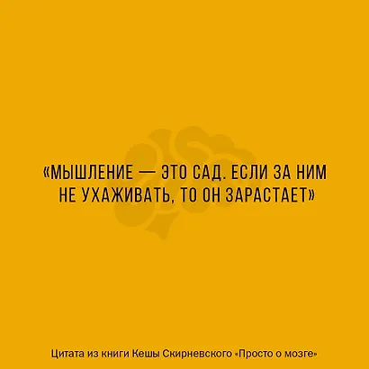 Просто о мозге. Как знания о мозге помогают получить больше - фото 4