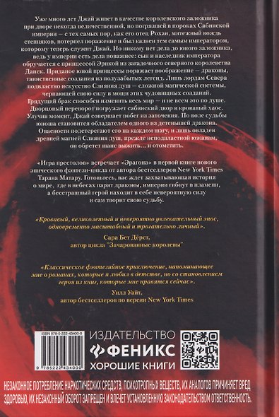 Всадник дракона. Первая книга "Саги о Слиянии душ" - фото 2