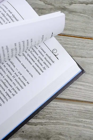 Паладин душ - фото 11