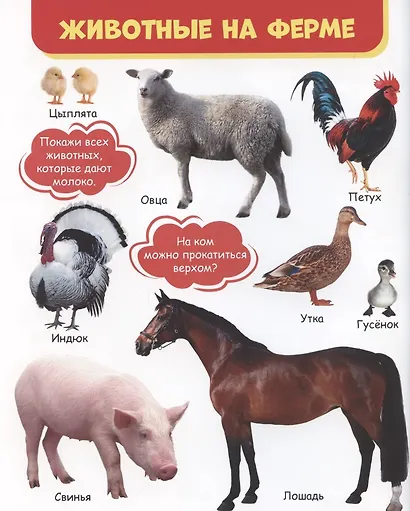 Мои любимые животные - фото 4