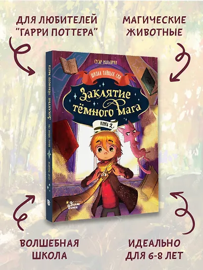 Заклятие тёмного мага - фото 4