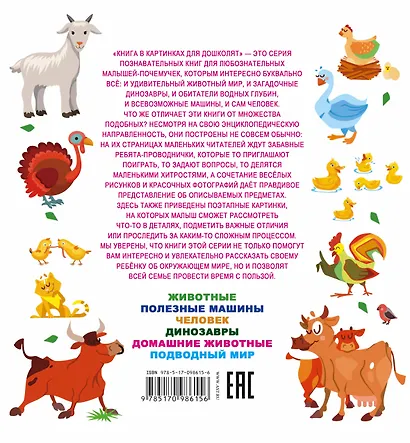 Домашние животные - фото 2