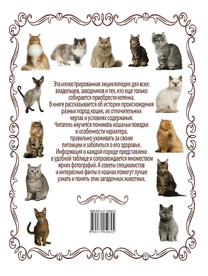 Кошки. Большая энциклопедия - фото 2