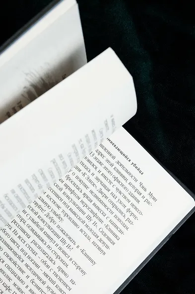 Сомневающийся убийца - фото 14