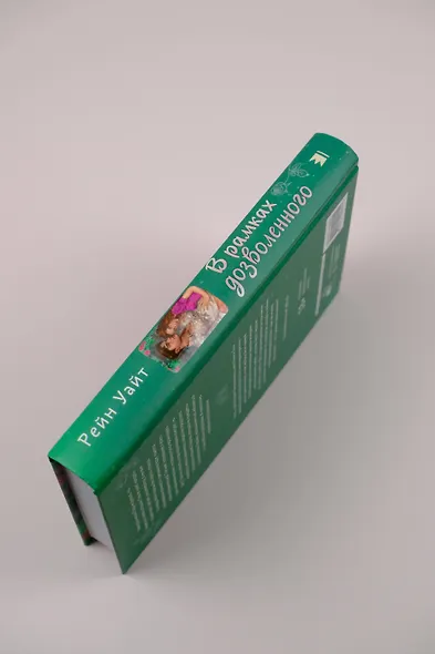 В рамках дозволенного - фото 7