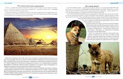 Лучшая детская энциклопедия. Что такое? Кто такой? - фото 2