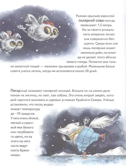 Чудо в Новый год: как Белый Мишка нашёл друзей - фото 9