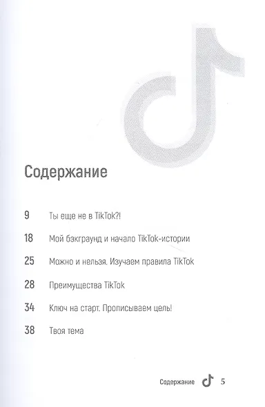 TikTok Superstar. Как набрать миллион подписчиков - фото 3