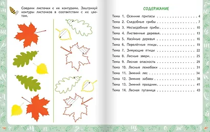 Совушкино перышко. Готовим руку к письму - фото 5