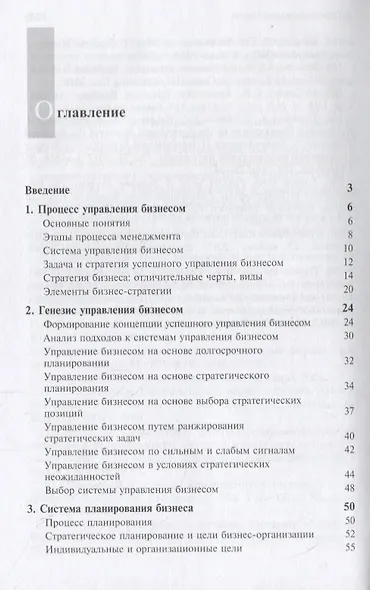 Стратегический менеджмент. Успешное управление бизнесом в России - фото 2