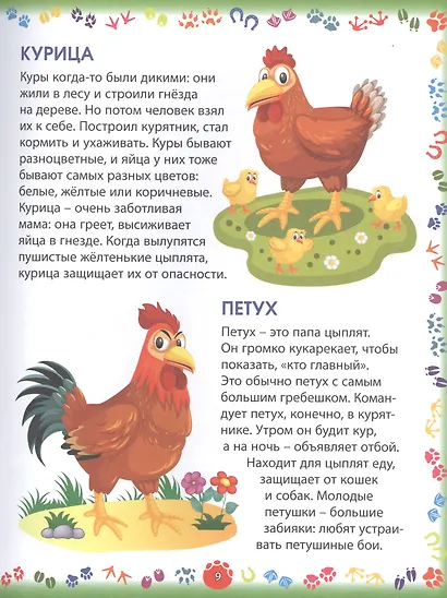 Животные и птицы - фото 5