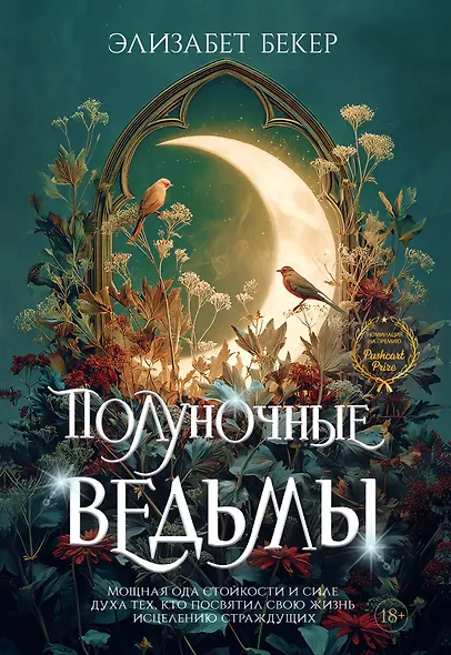 Полуночные ведьмы - фото 1