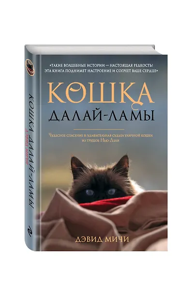 Кошка Далай-Ламы. Чудесное спасение и удивительная судьба уличной кошки из трущоб Нью-Дели - фото 3