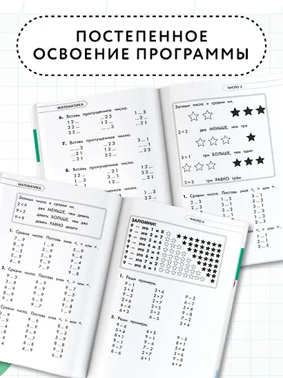 Математика. Русский язык. 1 класс. Полный курс обучения. ФГОС - фото 4