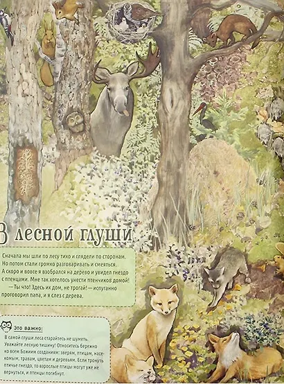 По лесным тропинкам: познавательная книга о природе с вопросами и ответами - фото 2