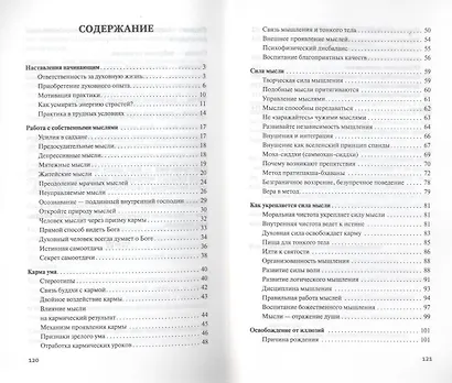 Сила мысли. Сборник устных комментариев Мастера к наставлениям Свами Шивананды. 3-е изд. - фото 3