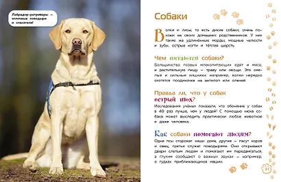 Животные. Большая детская энциклопедия - фото 5