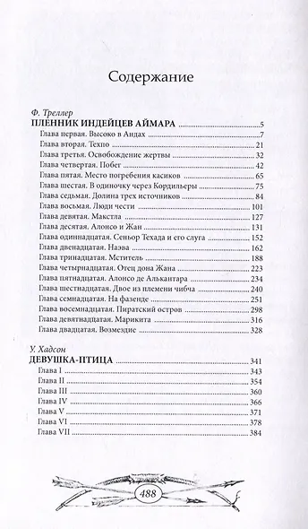 Пленник индейцев аймара - фото 2