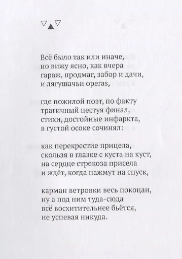 Пешеходная голубка - фото 6