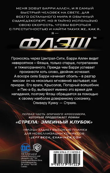 Флэш: преследование Барри Аллена - фото 2