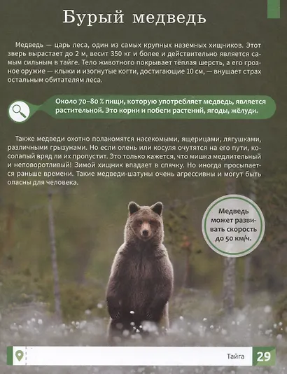 Природа России: 1000 фактов. 100 изображений - фото 5