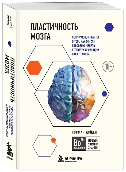 Пластичность мозга. Потрясающие факты о том, как мысли способны менять структуру и функции нашего мозга - фото 3