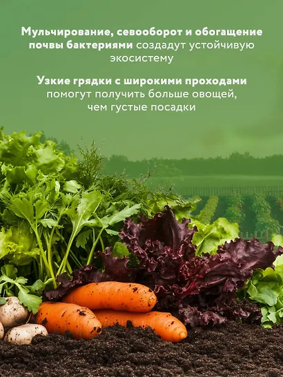 Секреты дачных агрономов. Как перестать "пахать" и начать получать удовольствие от дачи - фото 5