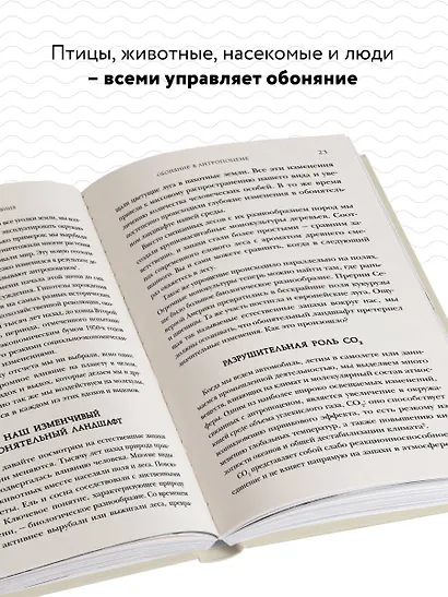 Тайная сила обоняния. Доверься носу. Иди за инстинктами - фото 5