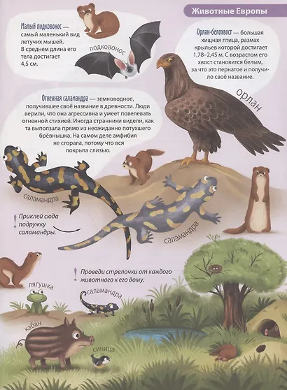 Животные. Активити-атлас с наклейками - фото 5