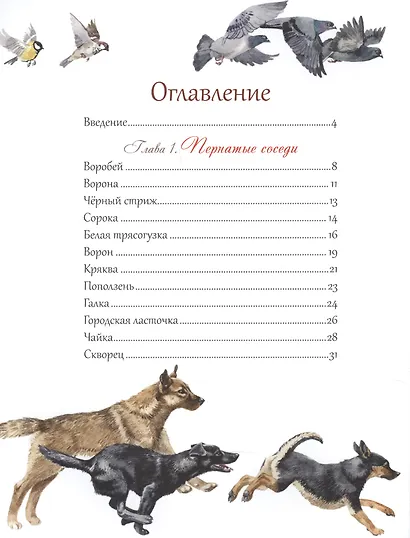 Животный мир городов - фото 2