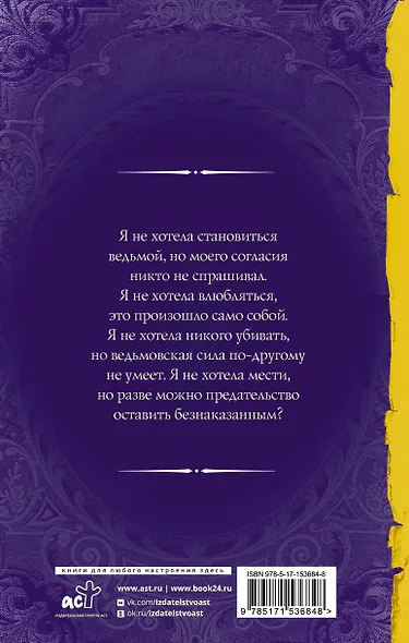 Последнее желание ведьмы - фото 2