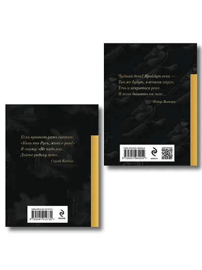 Комплект Родина моя (из 2-х книг Русские поэты о природе Стихотворения о Родине) - фото 2