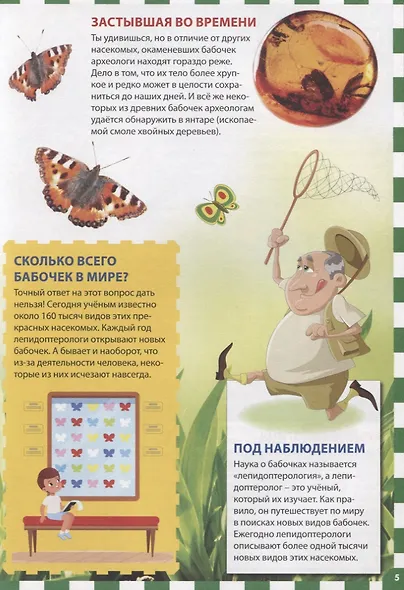 Бабочки. Первая энциклопедия для детей - фото 4
