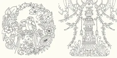 Удивительные джунгли. Книга для творчества и вдохновения - фото 6