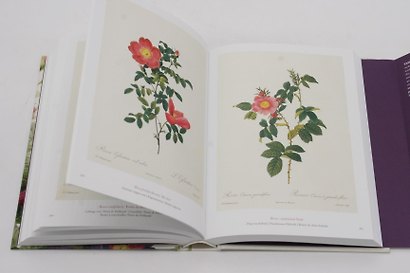 Redoute. Book of Flowers: 40th Anniversary Edition - фото 9